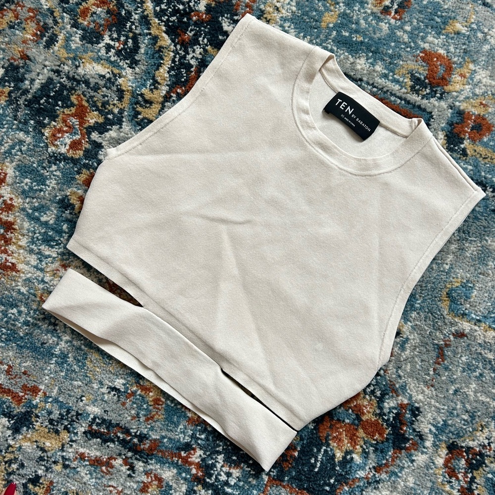 TEN by Babaton Retrospect Sleeveless Sweater
